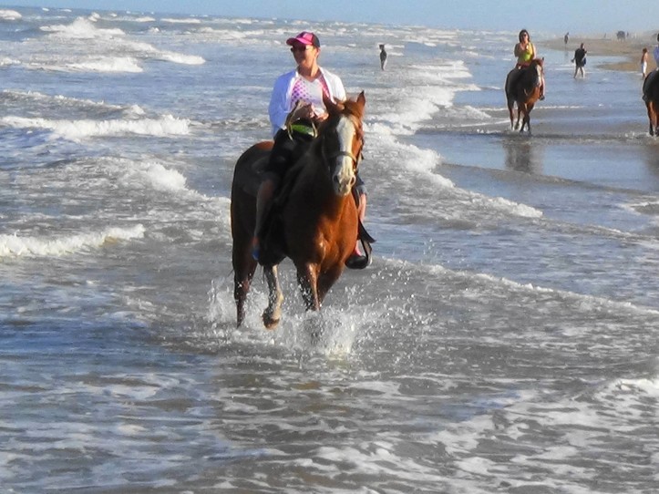 Actualizar 98+ imagen horseback riding south padre