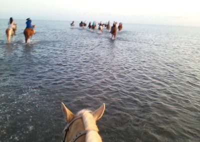 Group of people horseback riding on the beach.