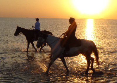 An unexpected urban horse riding scene, blending the beauty of horses on the beach