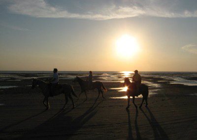 Silhouetted horse riders at a beach during sunset.