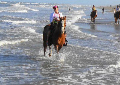 horseback riding