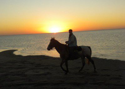 Person riding a horse on the beach at sunset.