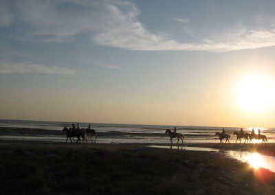 Silhouetted horse riders at a beach during sunset.