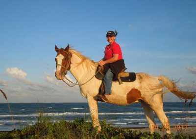 Snapshot of riders on horseback in the beach