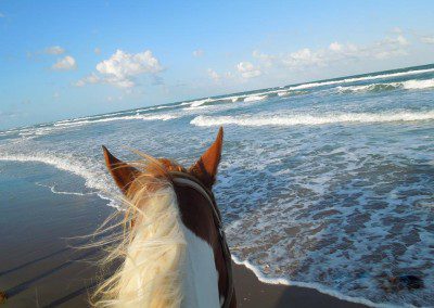 Rider's perspective of a horseback journey across a vast beach at sunset.